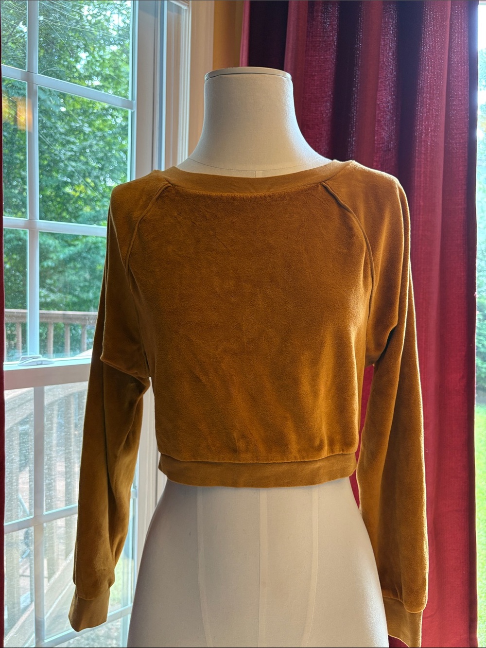 Suzie Kondi Women’s Cropped Long-Sleeve velour Top in Mustard, XS